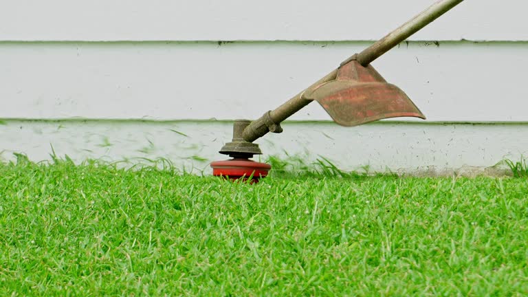 How Our Tree Care Process Works  in  Boscobel, WI
